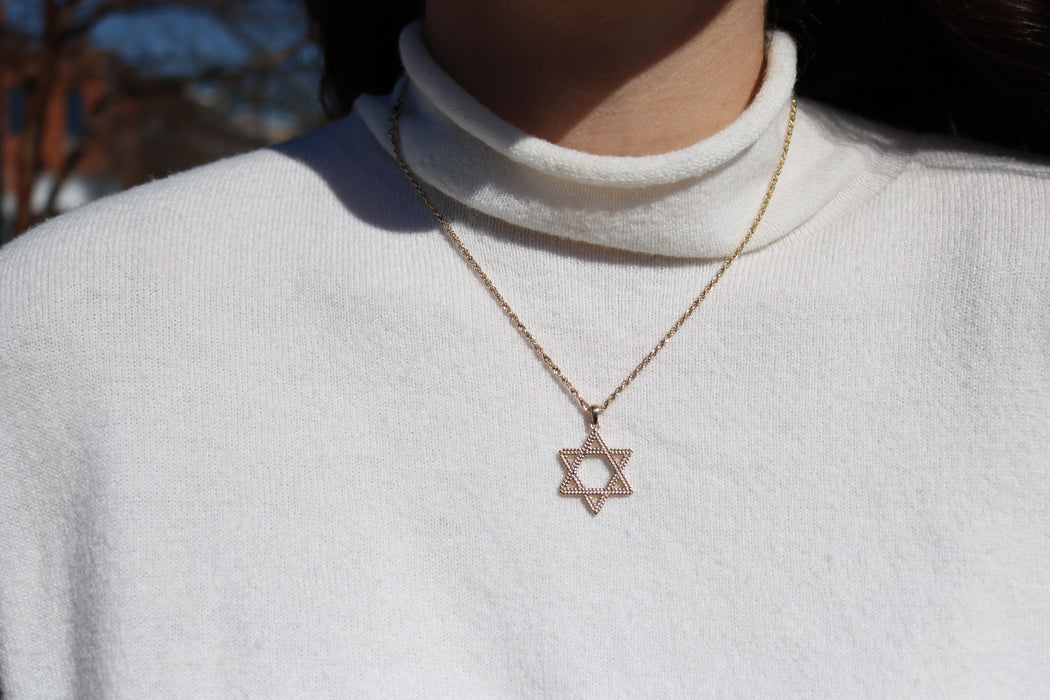 The Leafy Star of David Pendant - PREORDER