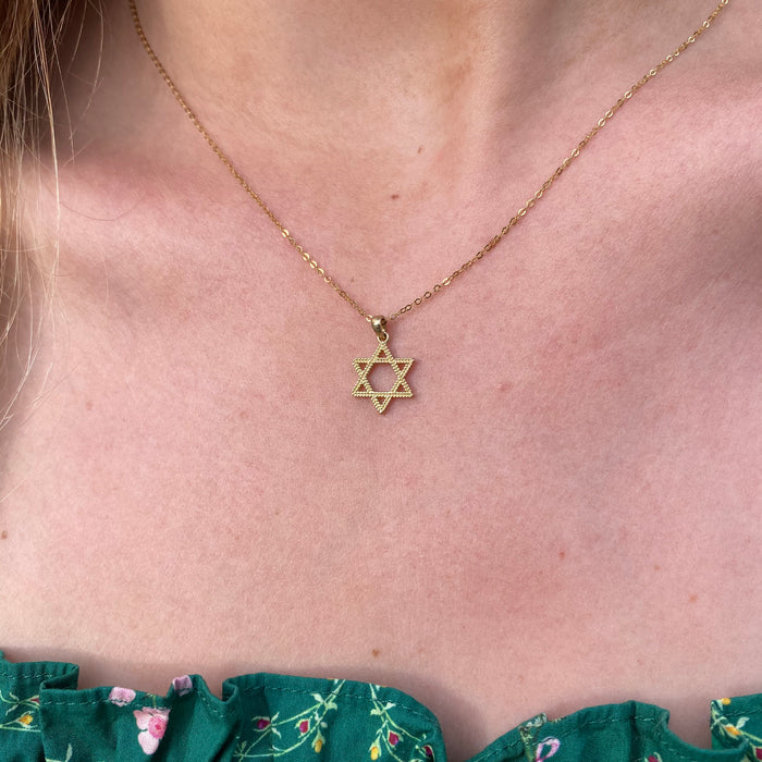 The Small Leafy Star of David Pendant - PREORDER