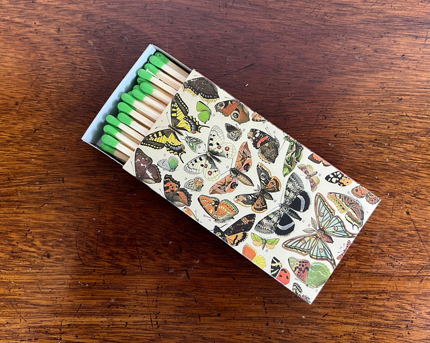 Butterfly Specimen Match Box