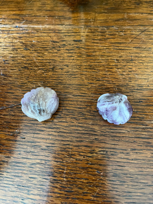 Amethyst Shell