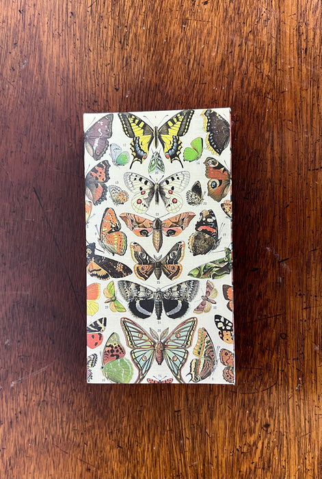 Butterfly Specimen Match Box