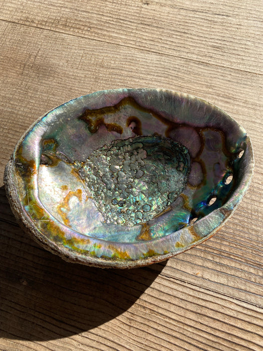 Abalone Shell Trinket Dish