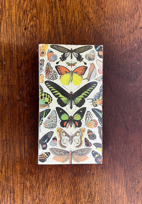 Butterfly Specimen Match Box