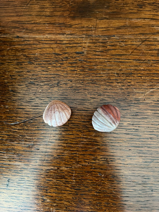 Rhodochrosite Shell